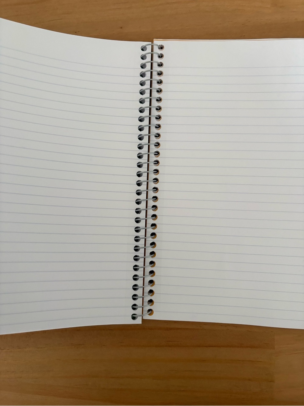 Notebooks - Picture 3 of 13